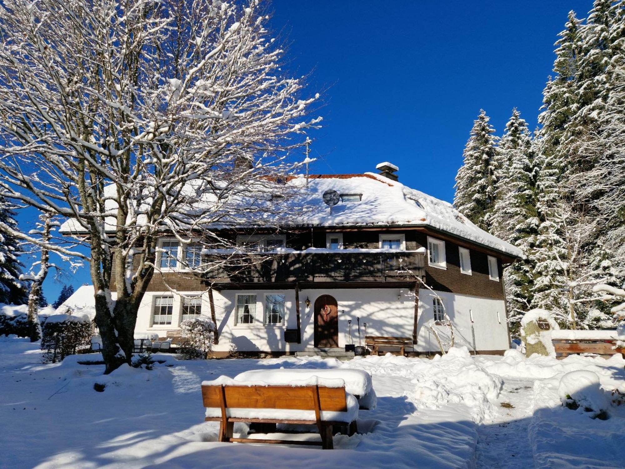 Altes Zollhuesli Villa Schluchsee Exteriör bild