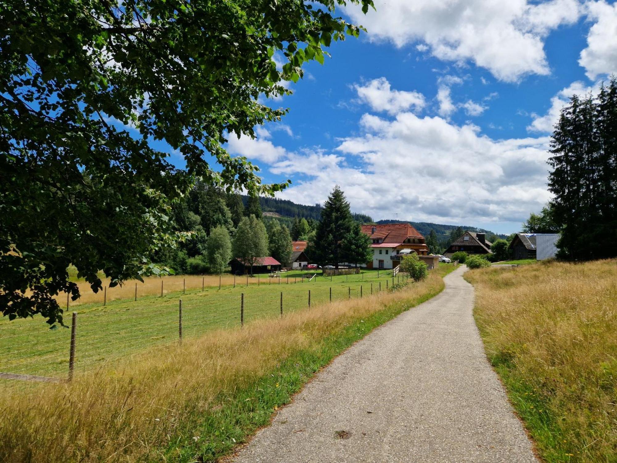 Altes Zollhuesli Villa Schluchsee Exteriör bild