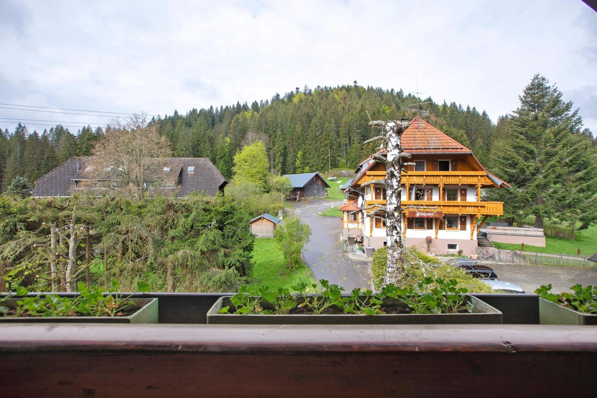Altes Zollhuesli Villa Schluchsee Exteriör bild