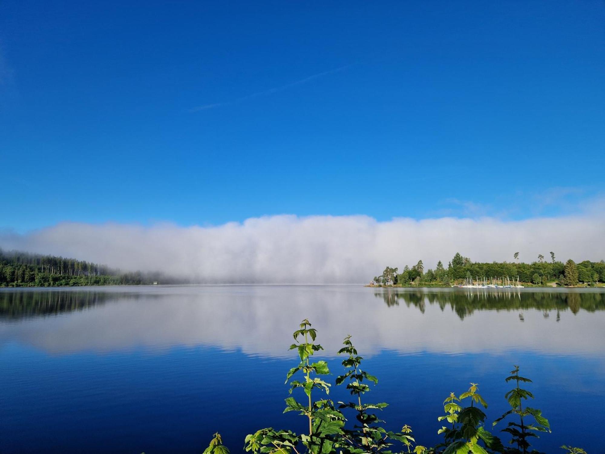 Altes Zollhuesli Villa Schluchsee Exteriör bild