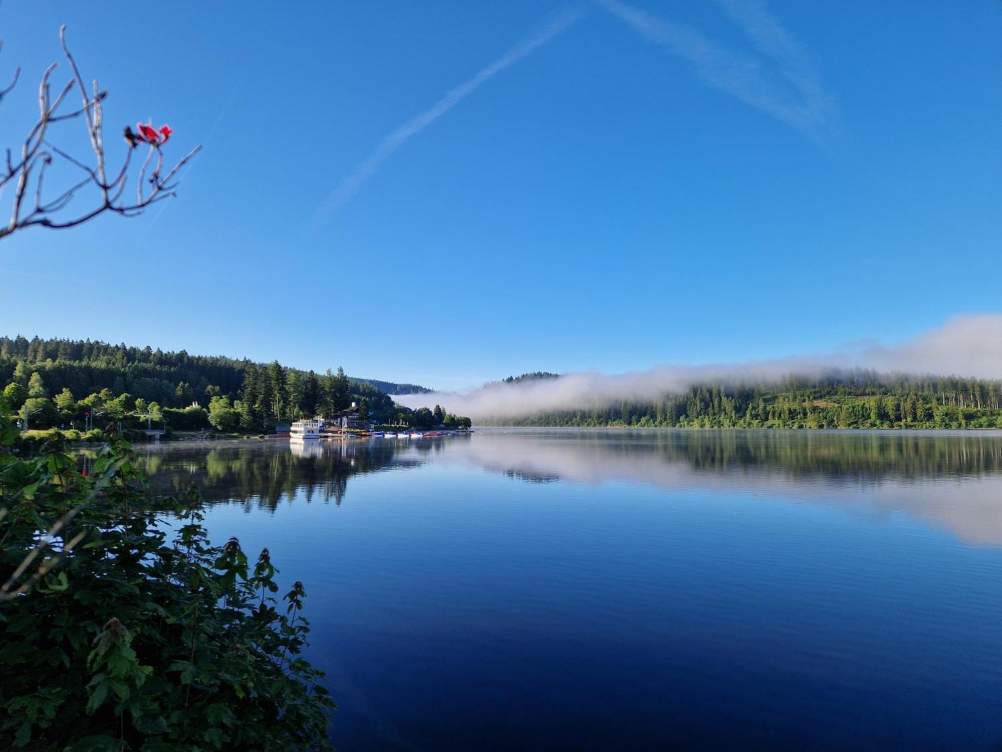 Altes Zollhuesli Villa Schluchsee Exteriör bild